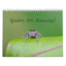 Search for spiders calendars Arachnids