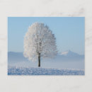 Search for winter trees postcards Mountains