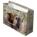 Search for scottish gift bags Cattle