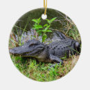 Search for alligator christmas tree decorations Wildlife