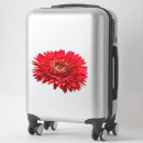 Search for gerberas photography Botanical