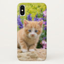 Search for fluffy cat iphone cases Kitten