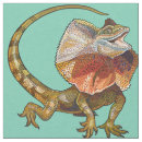 Search for lizard Zoo