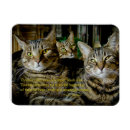 Search for unique cats magnets Quotes
