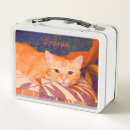 Search for tabby cat food storage Kitty