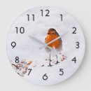 Search for robin clocks Animals