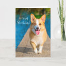 Search for cute butt cards Puppy