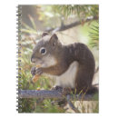 Search for wild one notebooks Usa