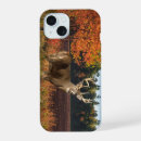 Search for buck electronics Fall