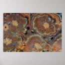 Search for onyx posters Black