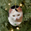 Search for pet name christmas tree decorations Cats