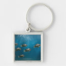 Search for leadership key rings Horizontal