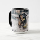 Search for fetch mugs Animal
