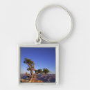 Search for scenic key rings Formation
