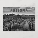 Search for white bear postcards Black and white