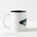 Search for steelhead mugs Trout