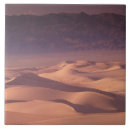 Search for arid tiles Environment