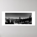 Search for black and white forest posters Snow