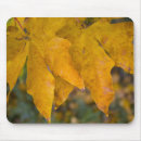 Search for leaf thank mousepads Autumn