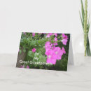 Search for petunia cards Nature