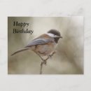 Search for chickadee birthday cards Bird
