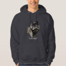 Search for lone hoodies Wildlife