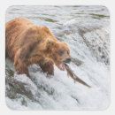 Search for catch stickers Animal