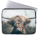 Search for cow laptop cases Highland cattle