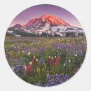 Search for consumerproduct stickers Photography