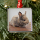 Search for bunny baby christmas tree decorations Animal