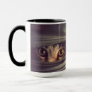 Search for alert mugs Kitten