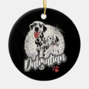 Search for pet round christmas tree decorations Paw