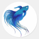 Search for betta stickers Fighting