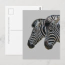 Search for zebra stripe pattern postcards Wild animals