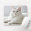 Search for house cat electronics Kitty