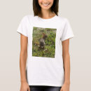 Search for a wild hare tshirts Animals