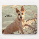 Search for australian cattle dog mousepads Puppy