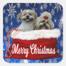 Search for shihtzu stickers Puppies