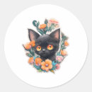 Search for black kitten stickers Crazy cat lady