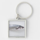 Search for sealife key rings Seafood