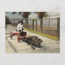 Search for florida gators cards Alligator