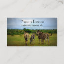 Search for setting business cards Animals