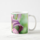 Search for daylilies mugs Purple