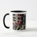 Search for bhutan mugs Pattern