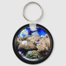 Search for saltwater key rings Tropical fish