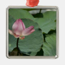 Search for vietnam christmas tree decorations Travel