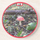 Search for mushroom coasters Woods