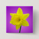 Search for daffodil badges Wales