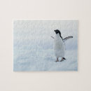 Search for antarctica puzzles Animal