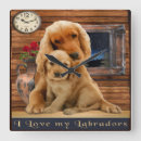 Search for labrador retriever clocks Funny